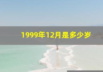 1999年12月是多少岁