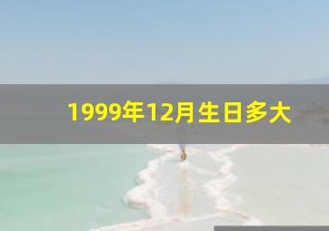 1999年12月生日多大