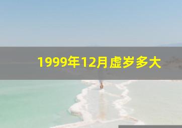 1999年12月虚岁多大