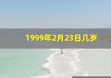 1999年2月23日几岁