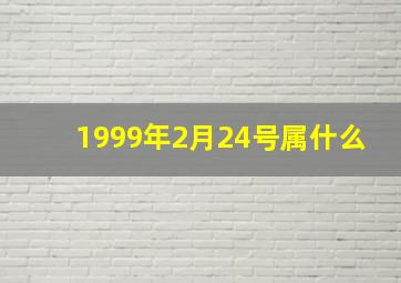 1999年2月24号属什么