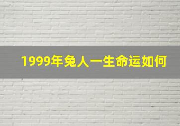 1999年兔人一生命运如何