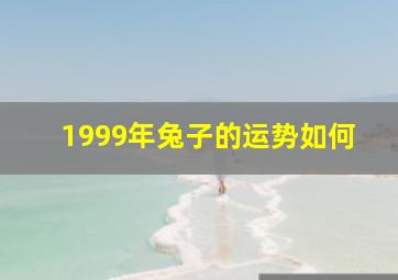 1999年兔子的运势如何