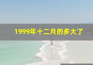 1999年十二月的多大了