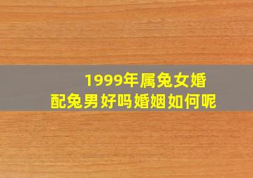 1999年属兔女婚配兔男好吗婚姻如何呢