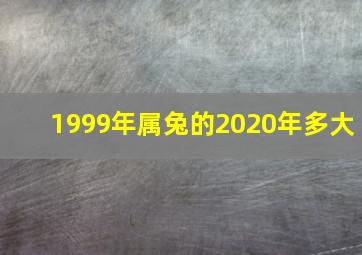 1999年属兔的2020年多大