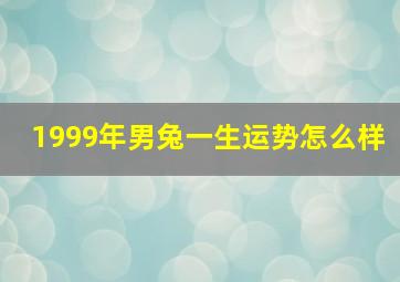 1999年男兔一生运势怎么样