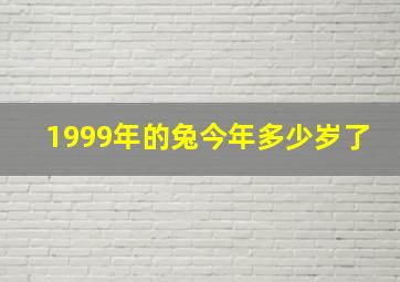 1999年的兔今年多少岁了