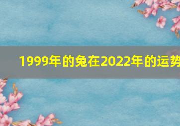 1999年的兔在2022年的运势