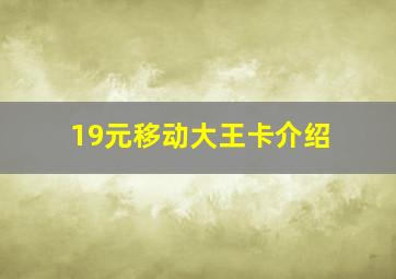 19元移动大王卡介绍