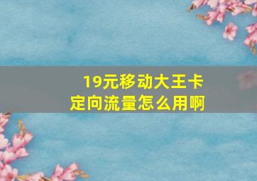 19元移动大王卡定向流量怎么用啊