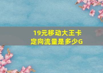 19元移动大王卡定向流量是多少G