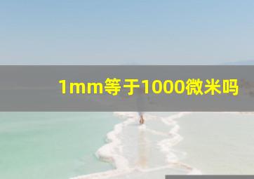 1mm等于1000微米吗