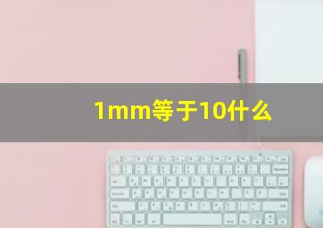 1mm等于10什么