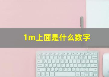 1m上面是什么数字