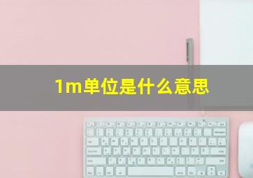 1m单位是什么意思