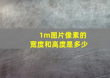 1m图片像素的宽度和高度是多少