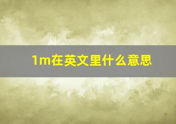 1m在英文里什么意思