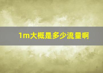 1m大概是多少流量啊