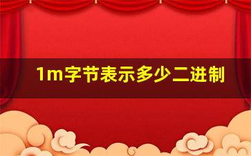 1m字节表示多少二进制