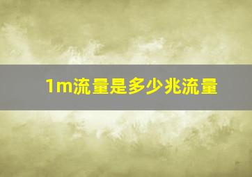 1m流量是多少兆流量