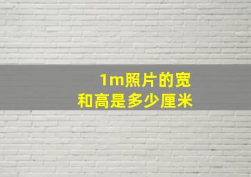 1m照片的宽和高是多少厘米