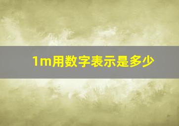 1m用数字表示是多少