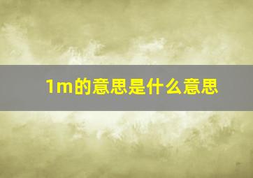 1m的意思是什么意思