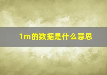 1m的数据是什么意思