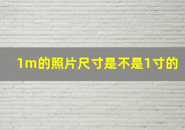 1m的照片尺寸是不是1寸的