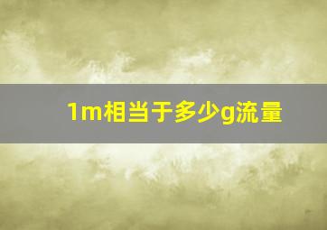 1m相当于多少g流量