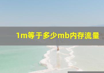 1m等于多少mb内存流量