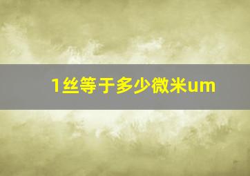 1丝等于多少微米um