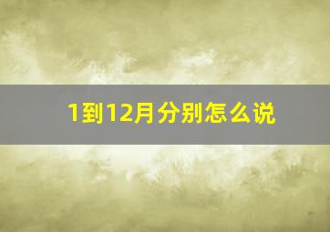 1到12月分别怎么说