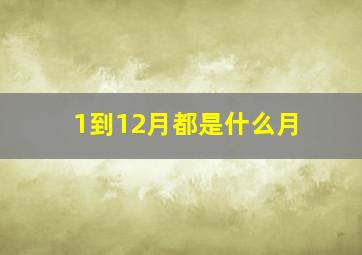 1到12月都是什么月