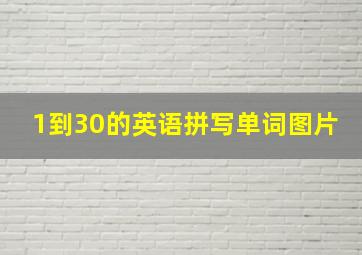 1到30的英语拼写单词图片