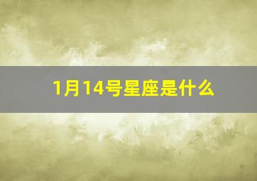 1月14号星座是什么