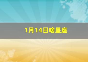 1月14日啥星座