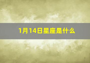 1月14日星座是什么