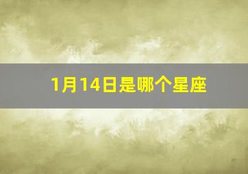 1月14日是哪个星座