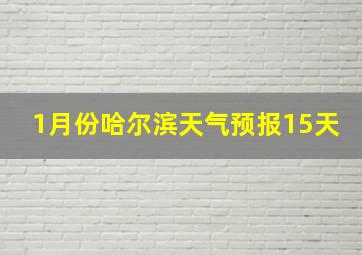 1月份哈尔滨天气预报15天