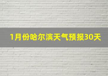 1月份哈尔滨天气预报30天