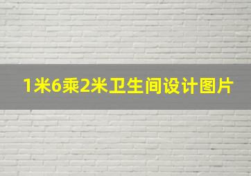 1米6乘2米卫生间设计图片