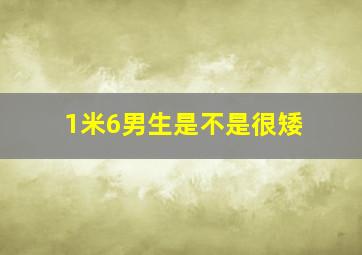 1米6男生是不是很矮