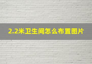 2.2米卫生间怎么布置图片