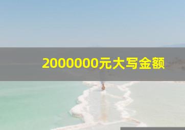 2000000元大写金额