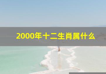 2000年十二生肖属什么