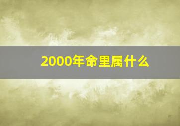 2000年命里属什么