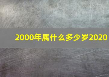 2000年属什么多少岁2020