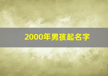 2000年男孩起名字